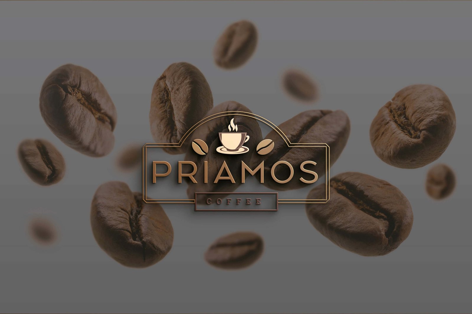 Priamos logo